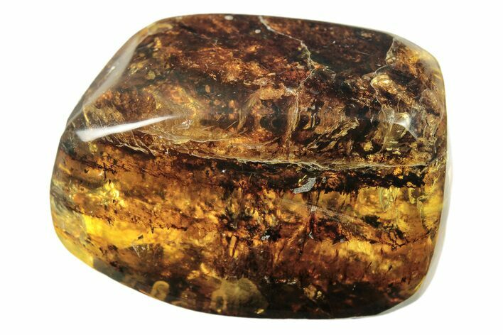 Polished Chiapas Amber ( g) - Mexico #274424